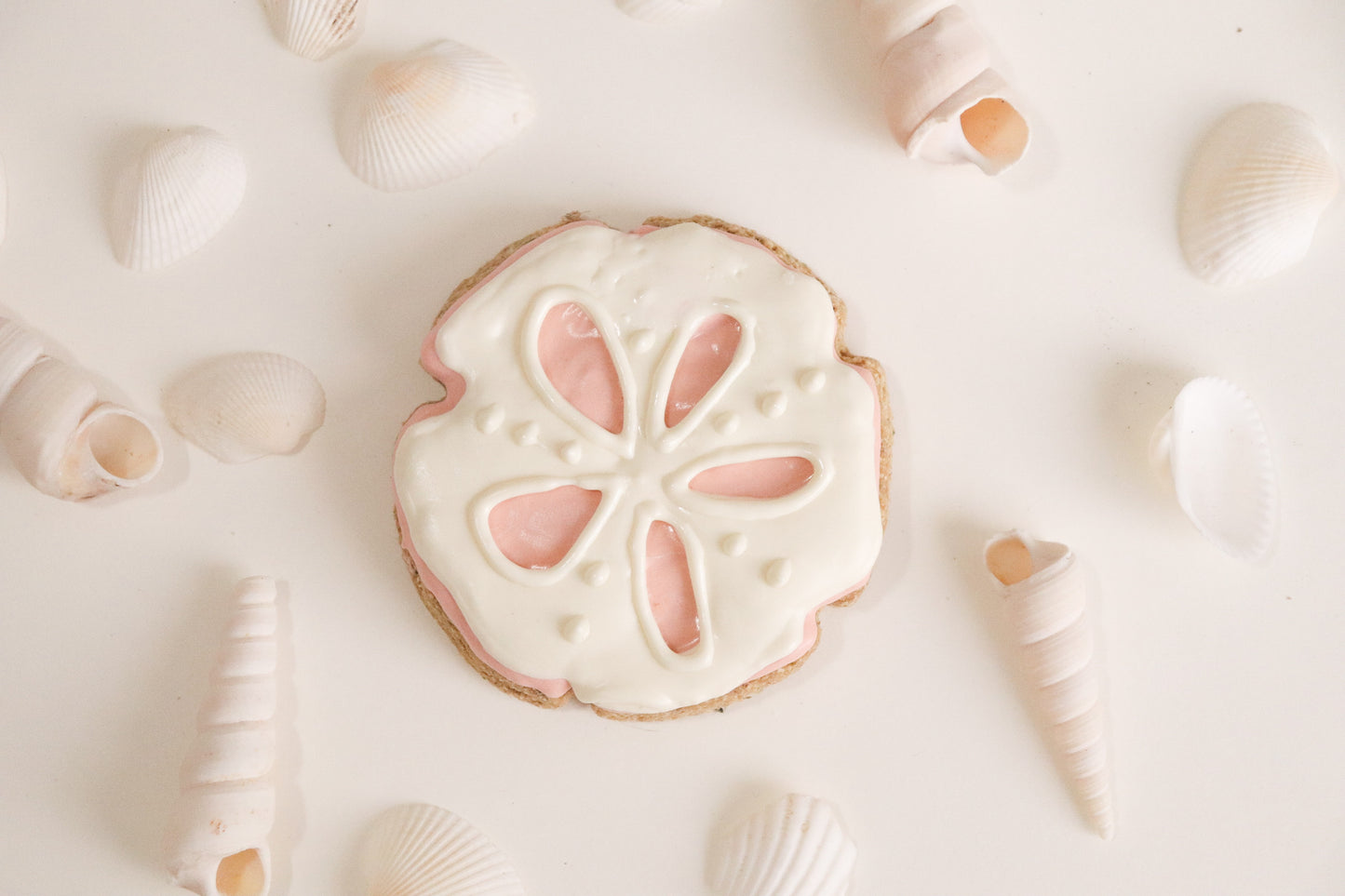 Sand Dollar Cookie