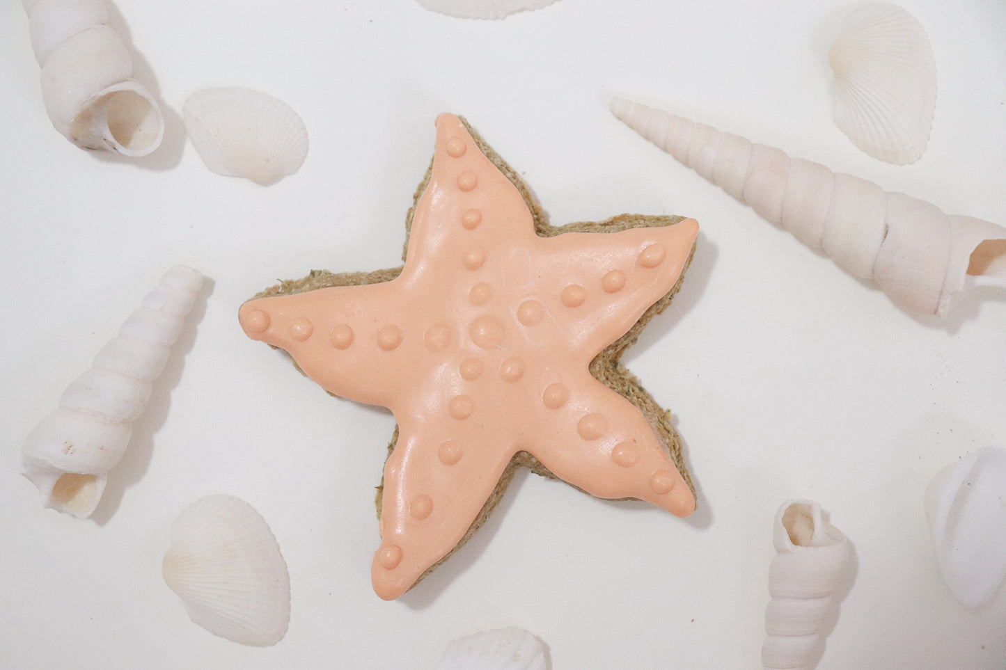 Starfish Cookie