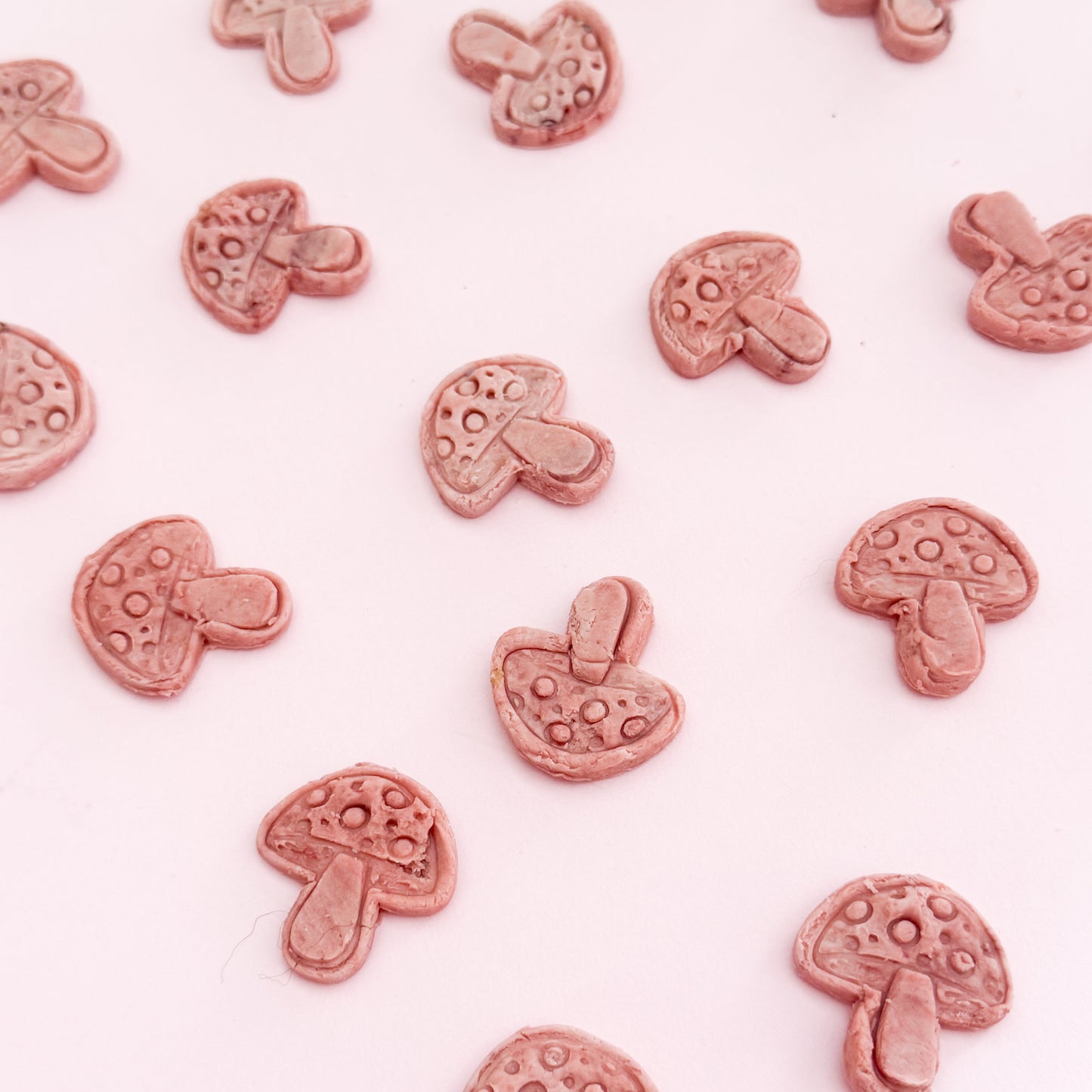 Red Mushroom Goats Milk 5pack
