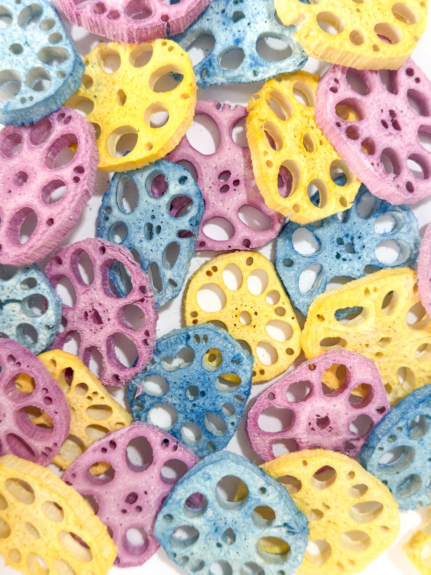 Rainbow Lotus Root