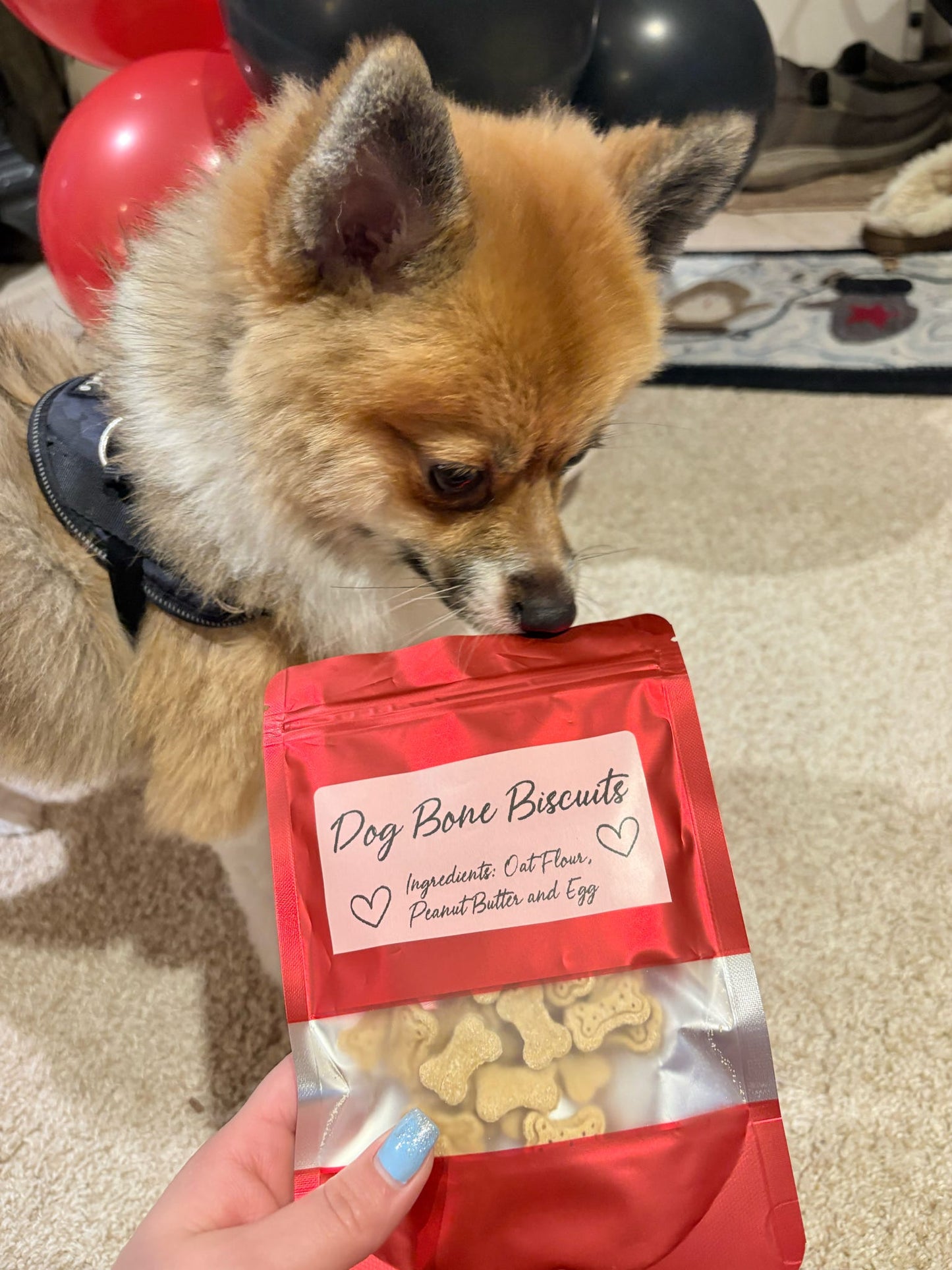 Dog Bones Training Treats Bag