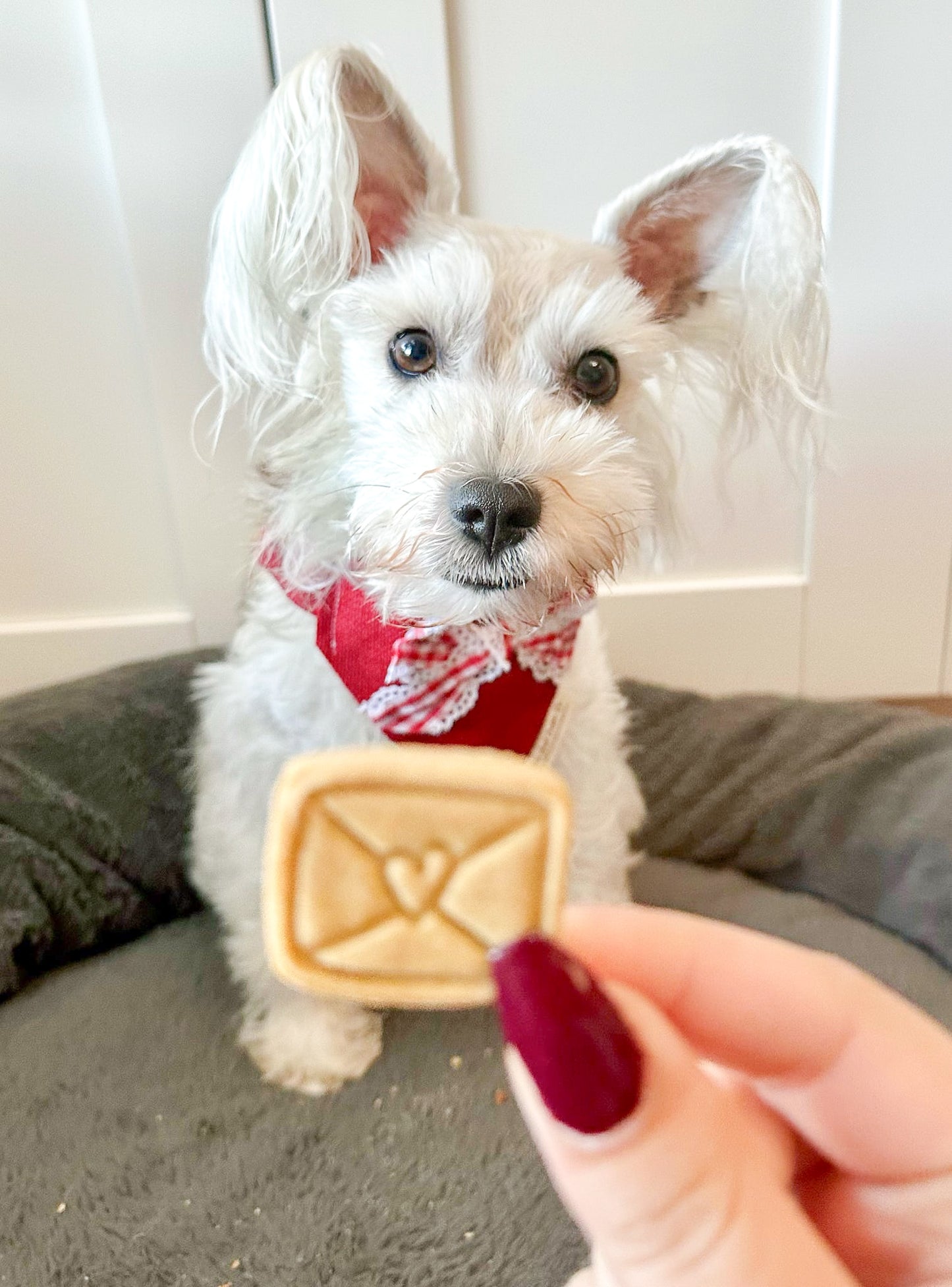Valentines Biscuits Bag Mix