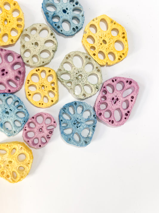 Rainbow Lotus Root