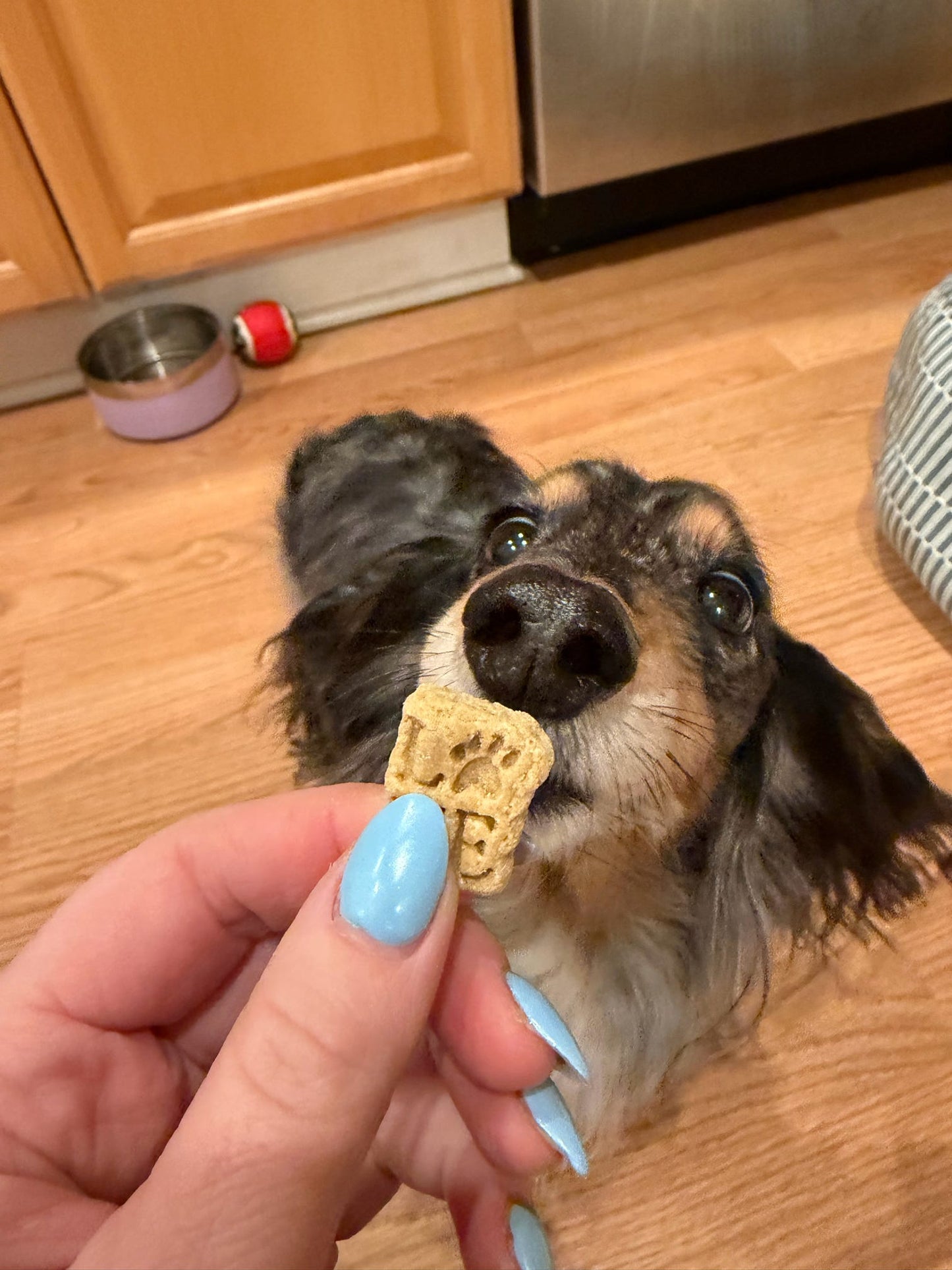 Love Training Treats Bag