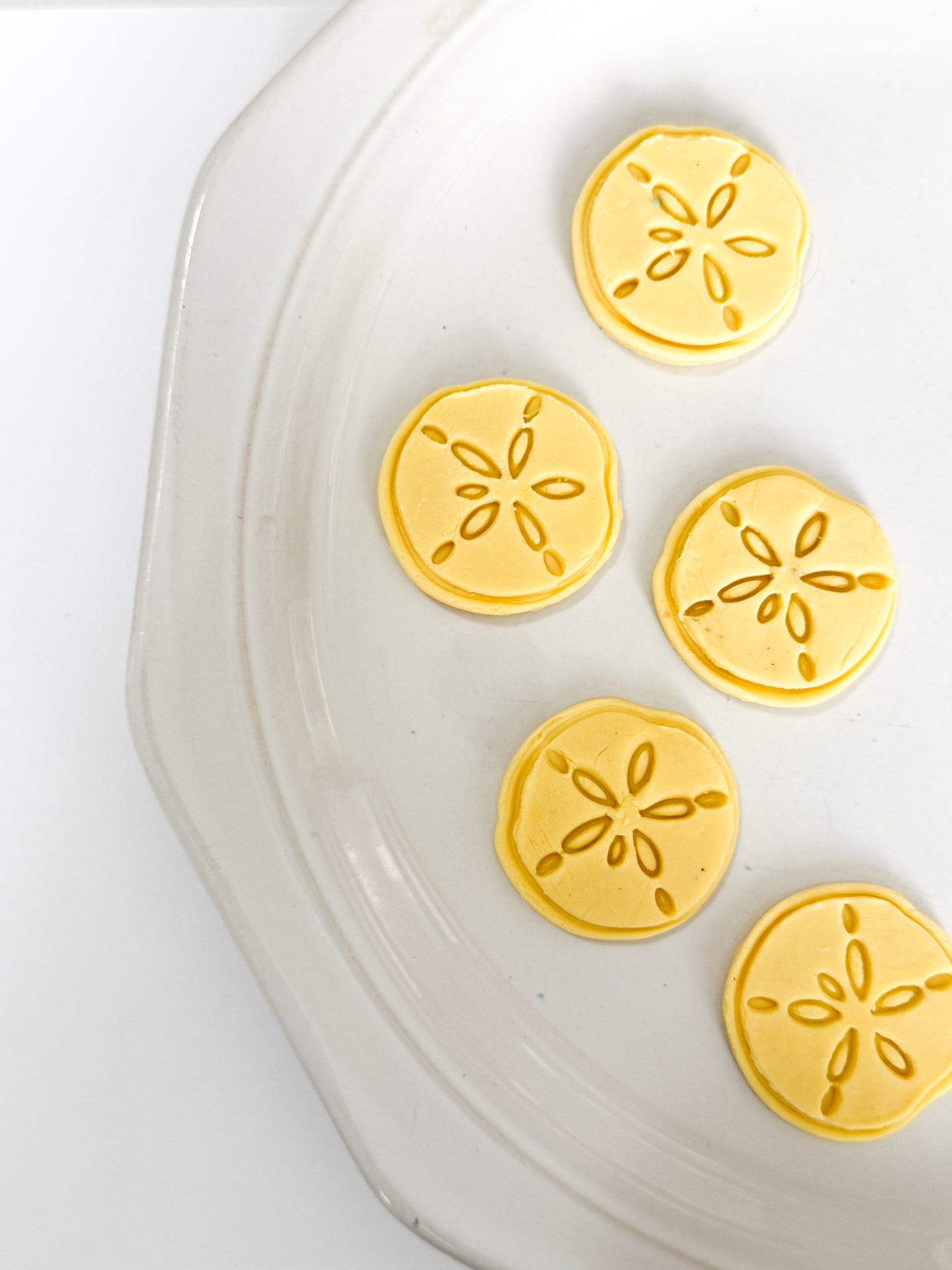 Sand Dollar Goats Milk