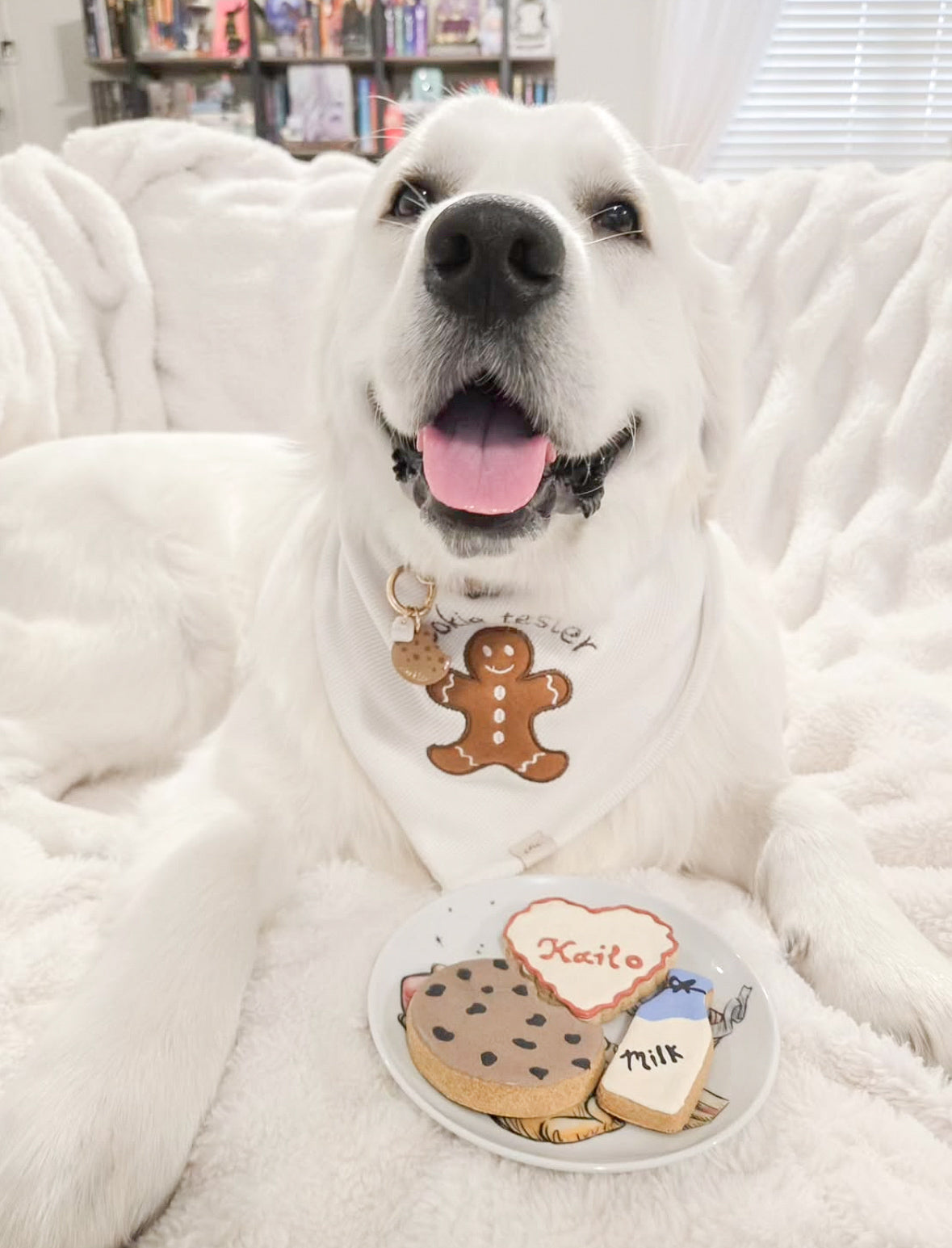Custom Heart Cookie
