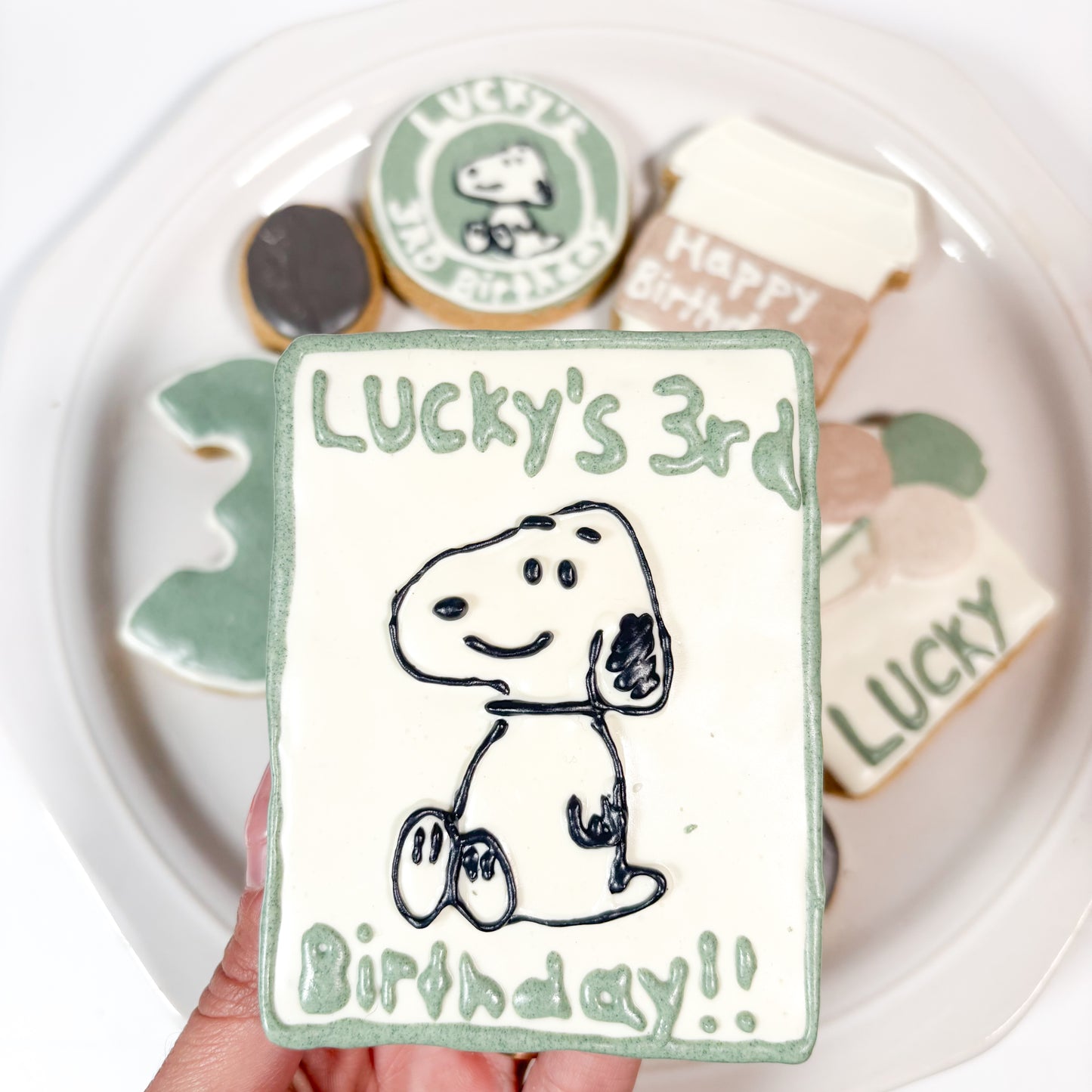 Custom Dog Birthday Box (TEAM ONLY)
