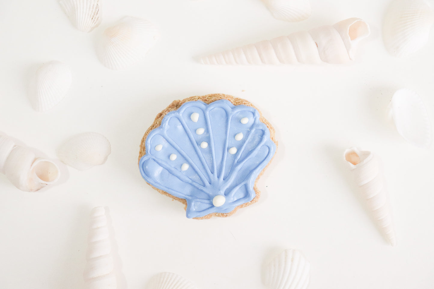 Sea Shell Cookie