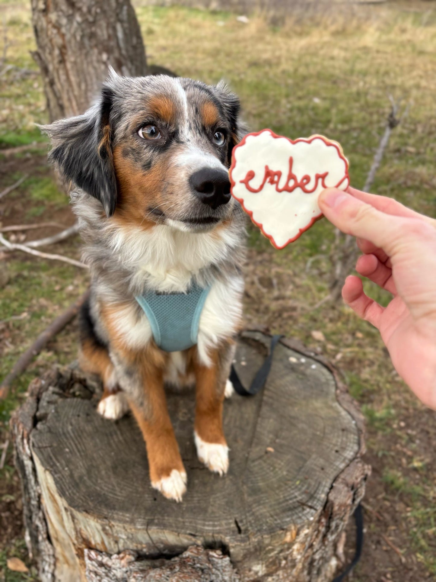 Custom Heart Cookie
