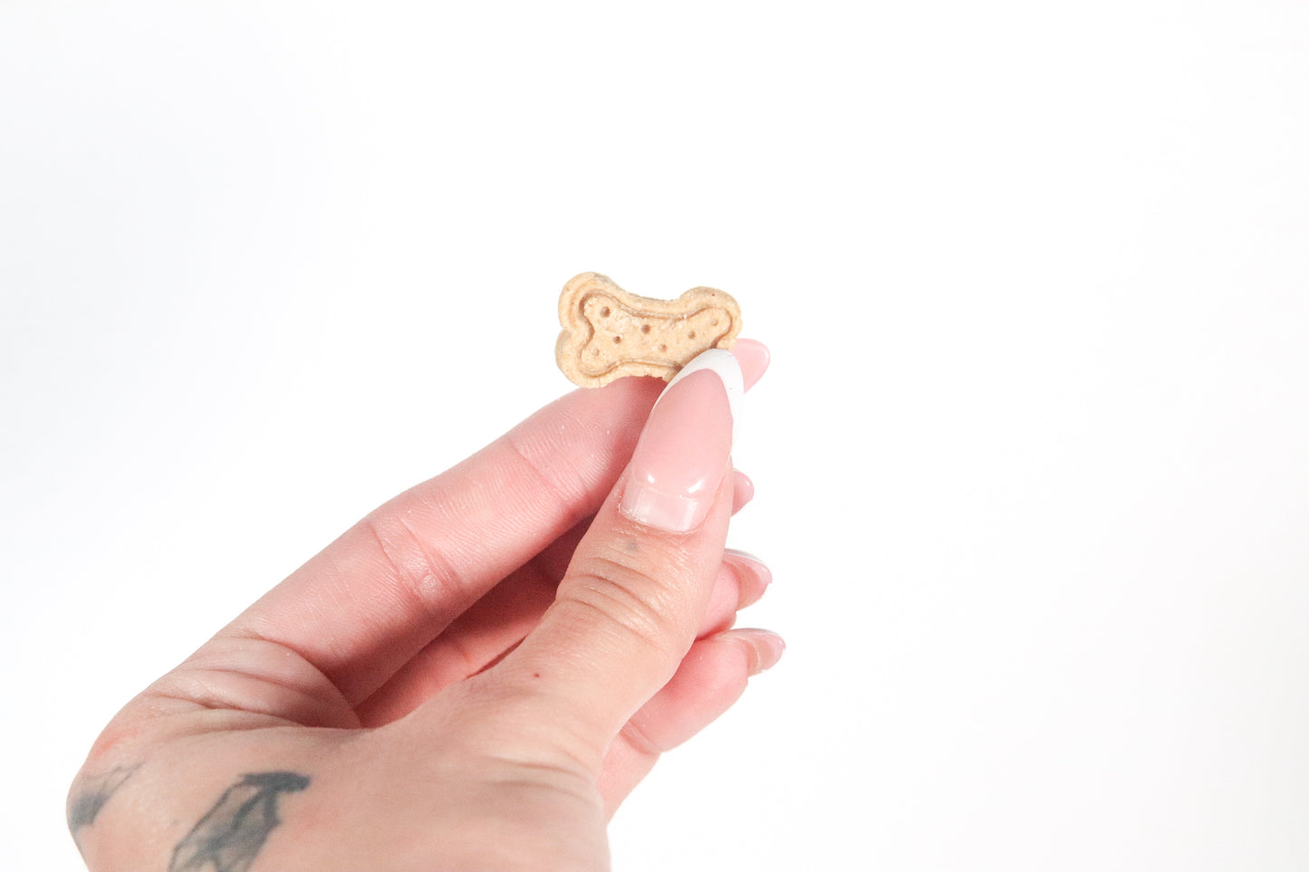 Dog Bones Training Treats Bag
