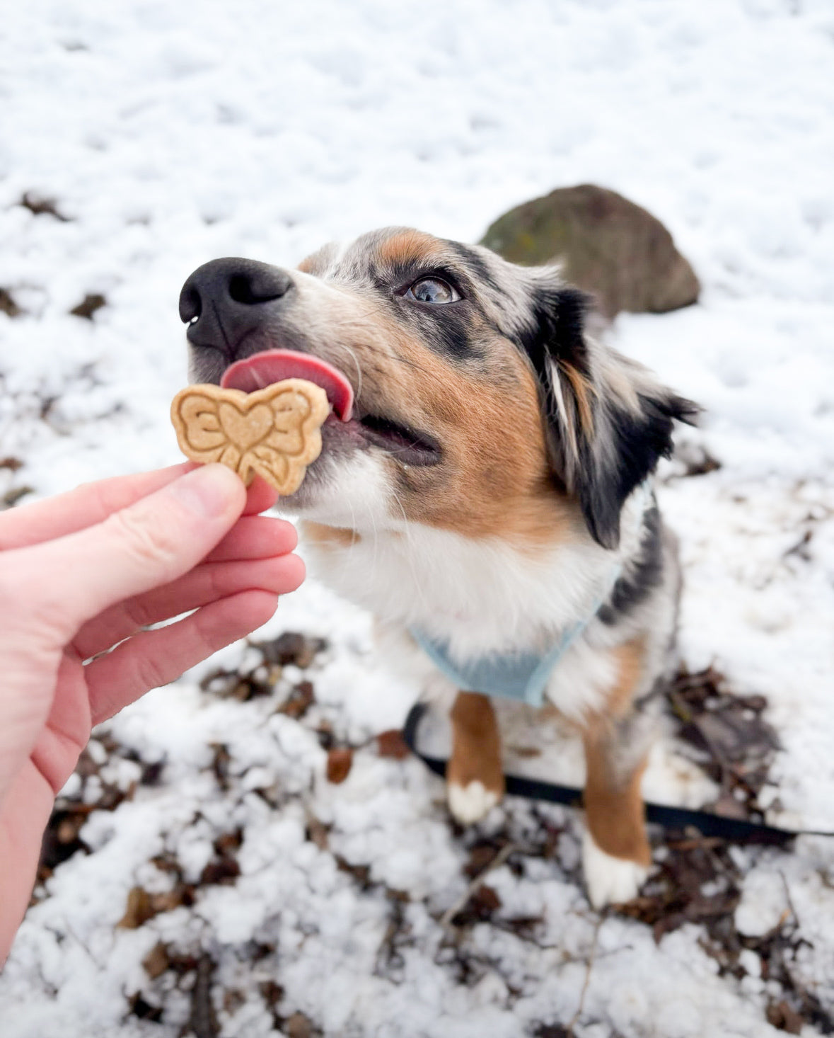 Valentines Biscuits Bag Mix