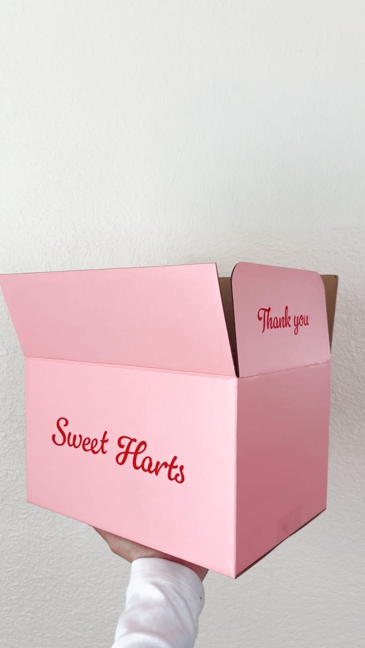 Dog Goodie Box Seasonal