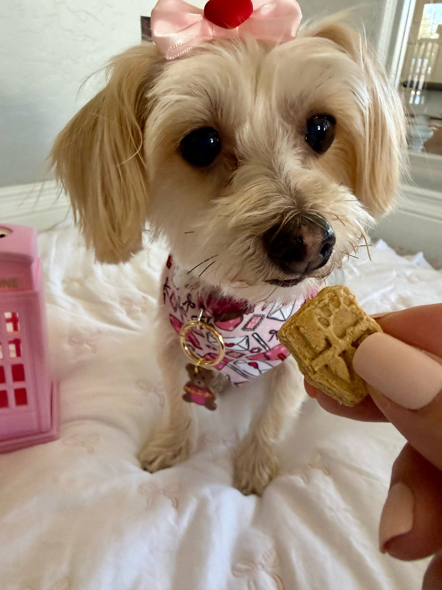 Love Training Treats Bag