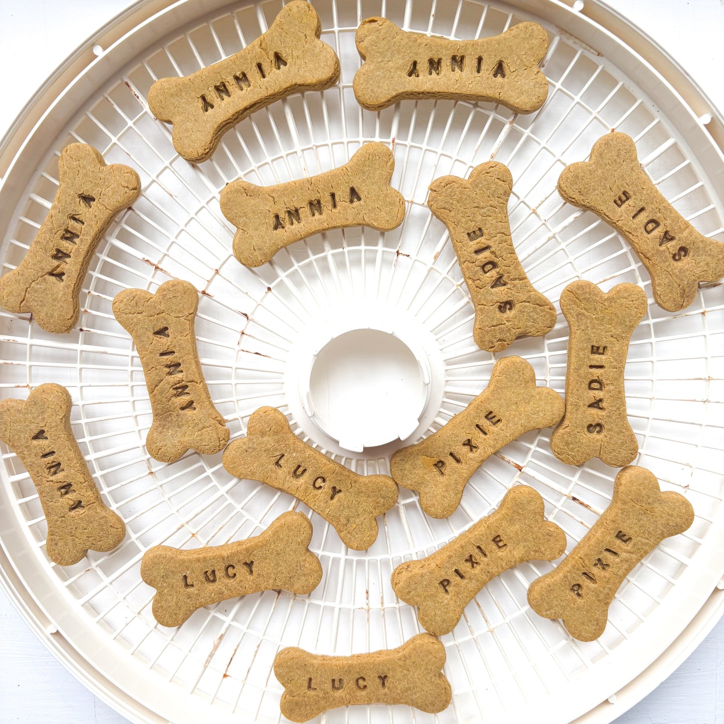 Custom Dog Bones