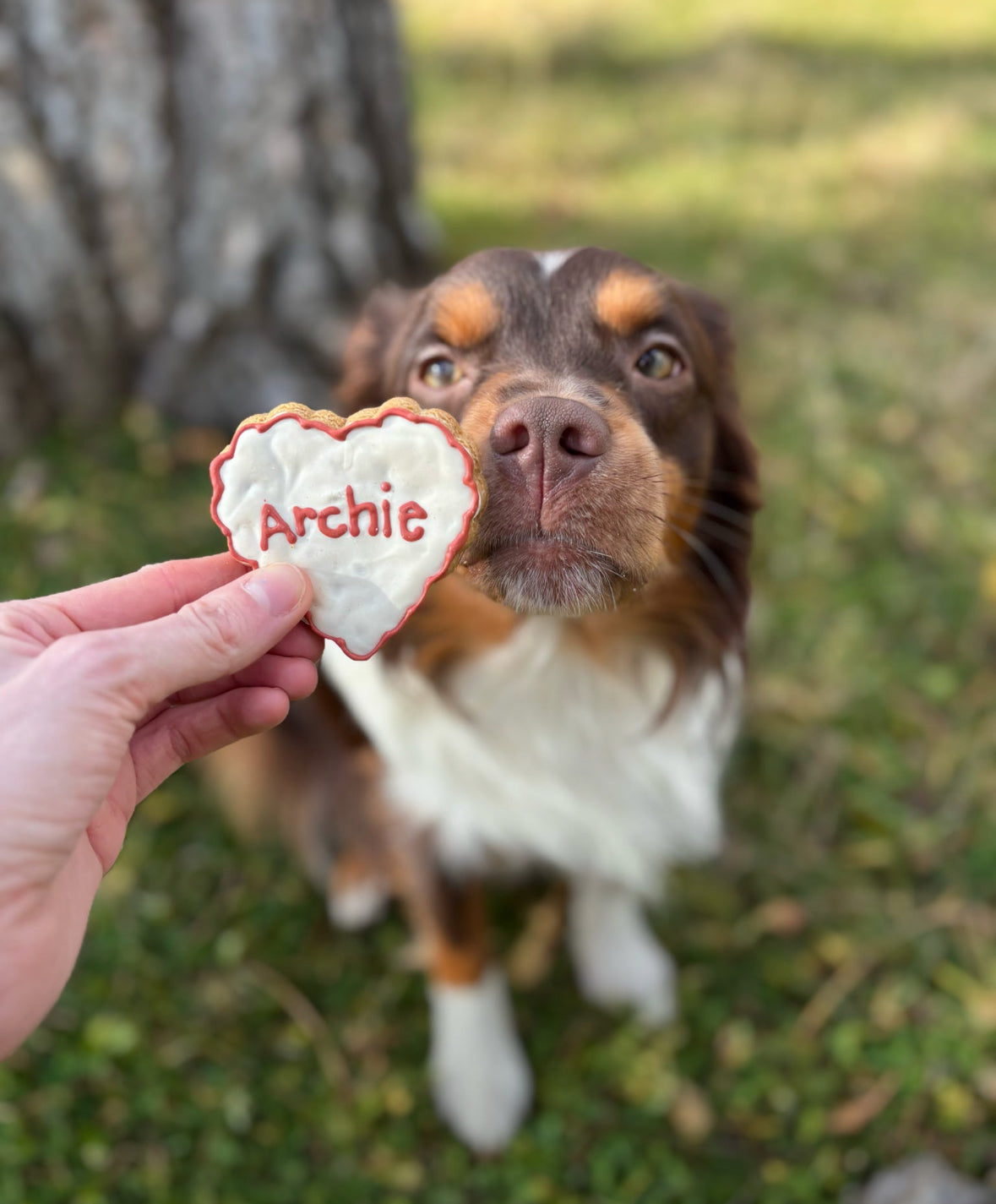 Custom Heart Cookie