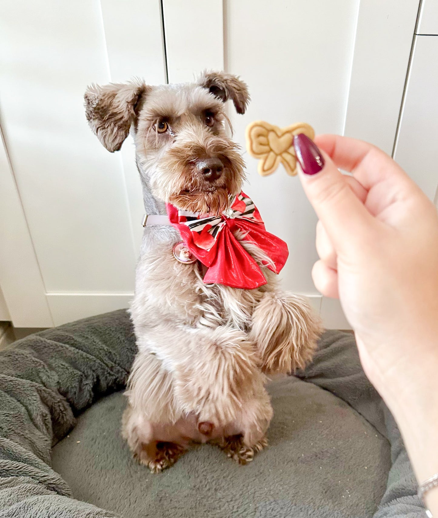 Valentines Biscuits Bag Mix