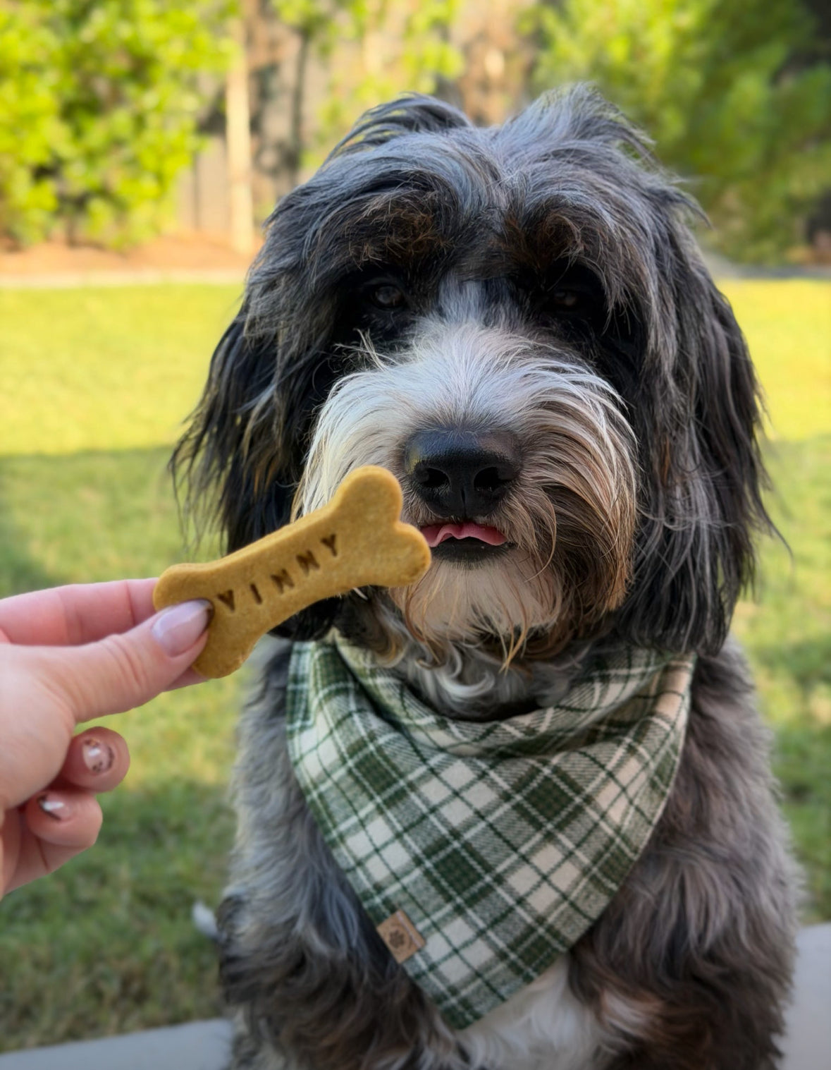 Custom Dog Bones