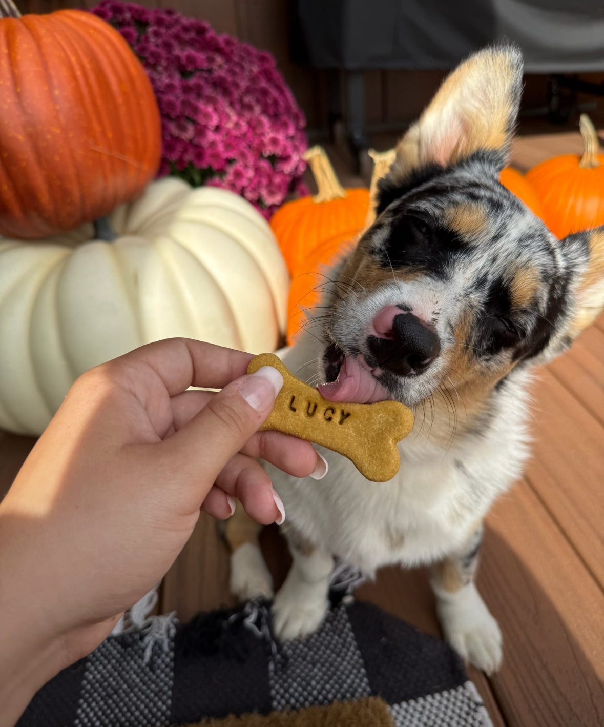 Custom Dog Bones